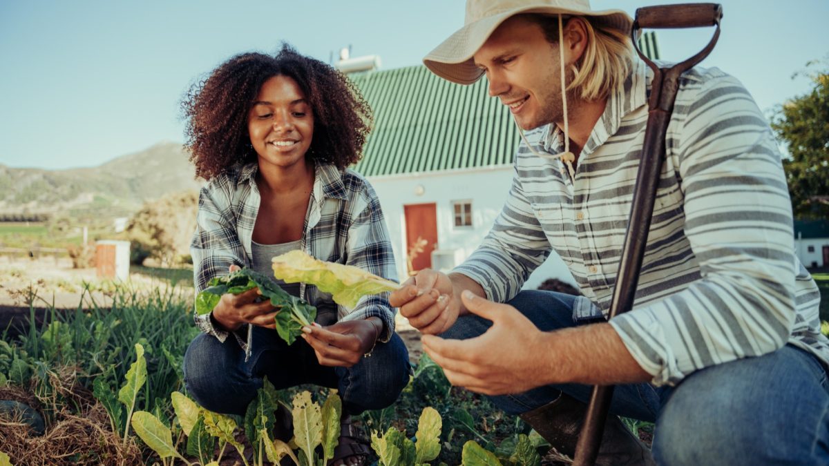 calendario-de-siembra-huerto-agrogargallo