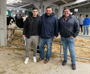 agrogargallo-allfeed-equipo-en-subasta-gando-frison-friol-2025