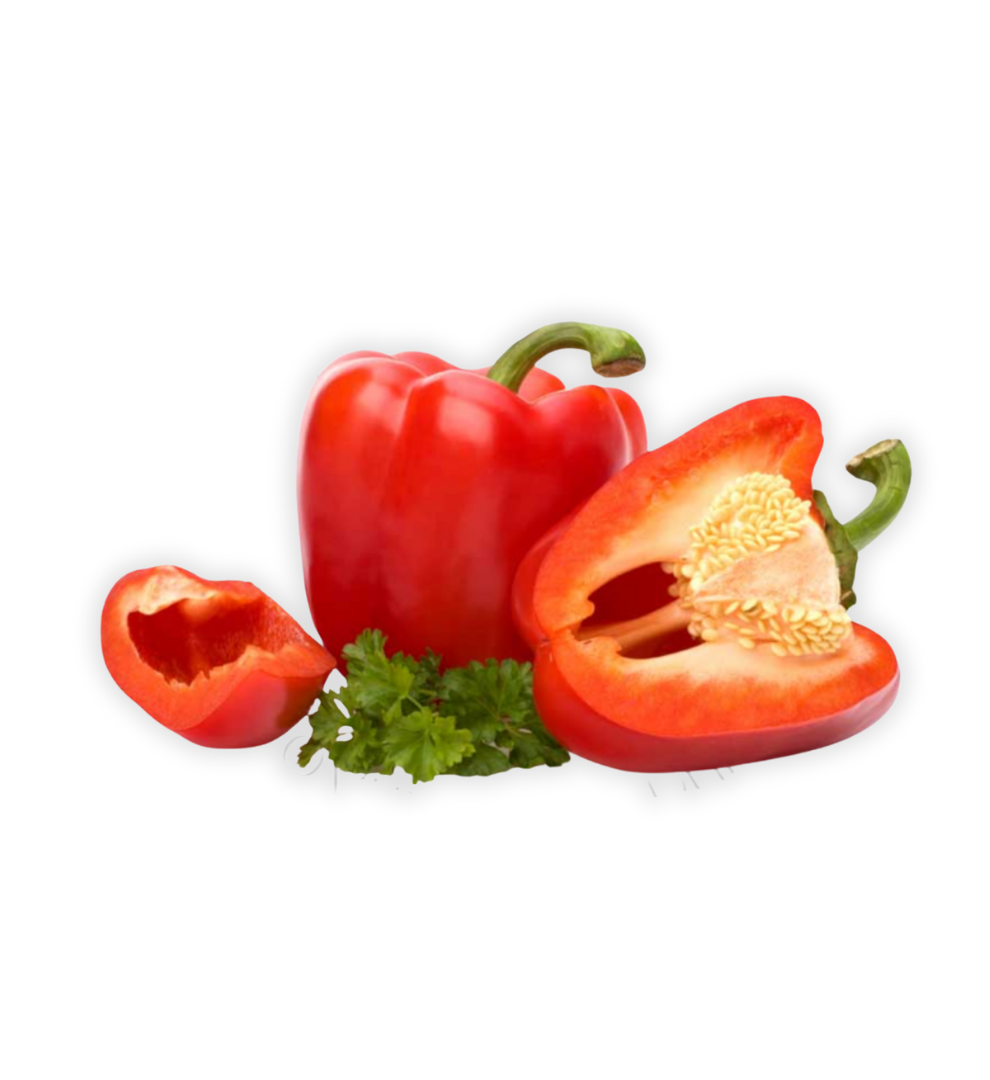 plantel-pimiento-morron-rojo-para-plantar