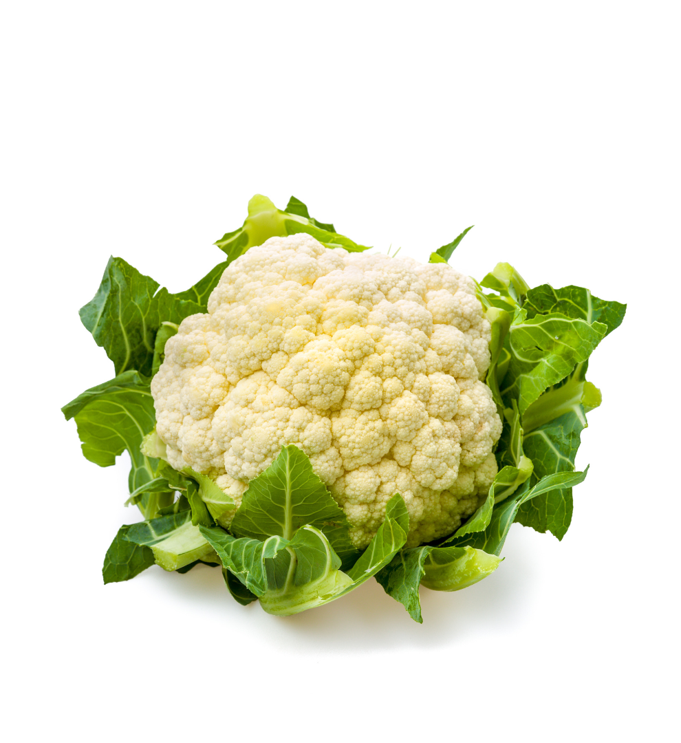 coliflor-para-plantar-planteles-de-coliflor