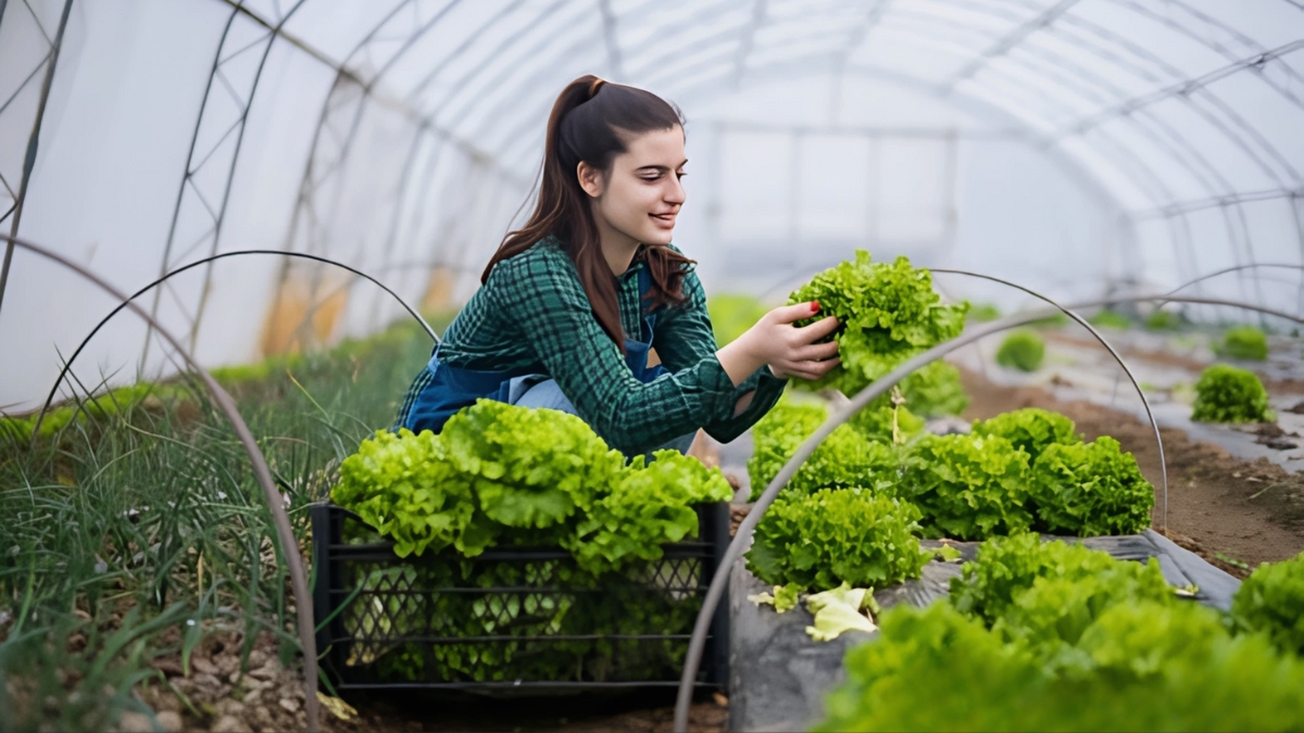 asociacion-de-cultivos-en-la-huerta-agrogargallo