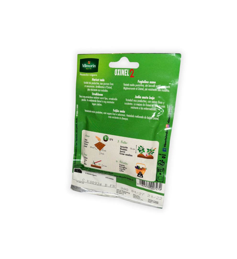 judia-oxinel-2-bolsa-vilmorin-atras