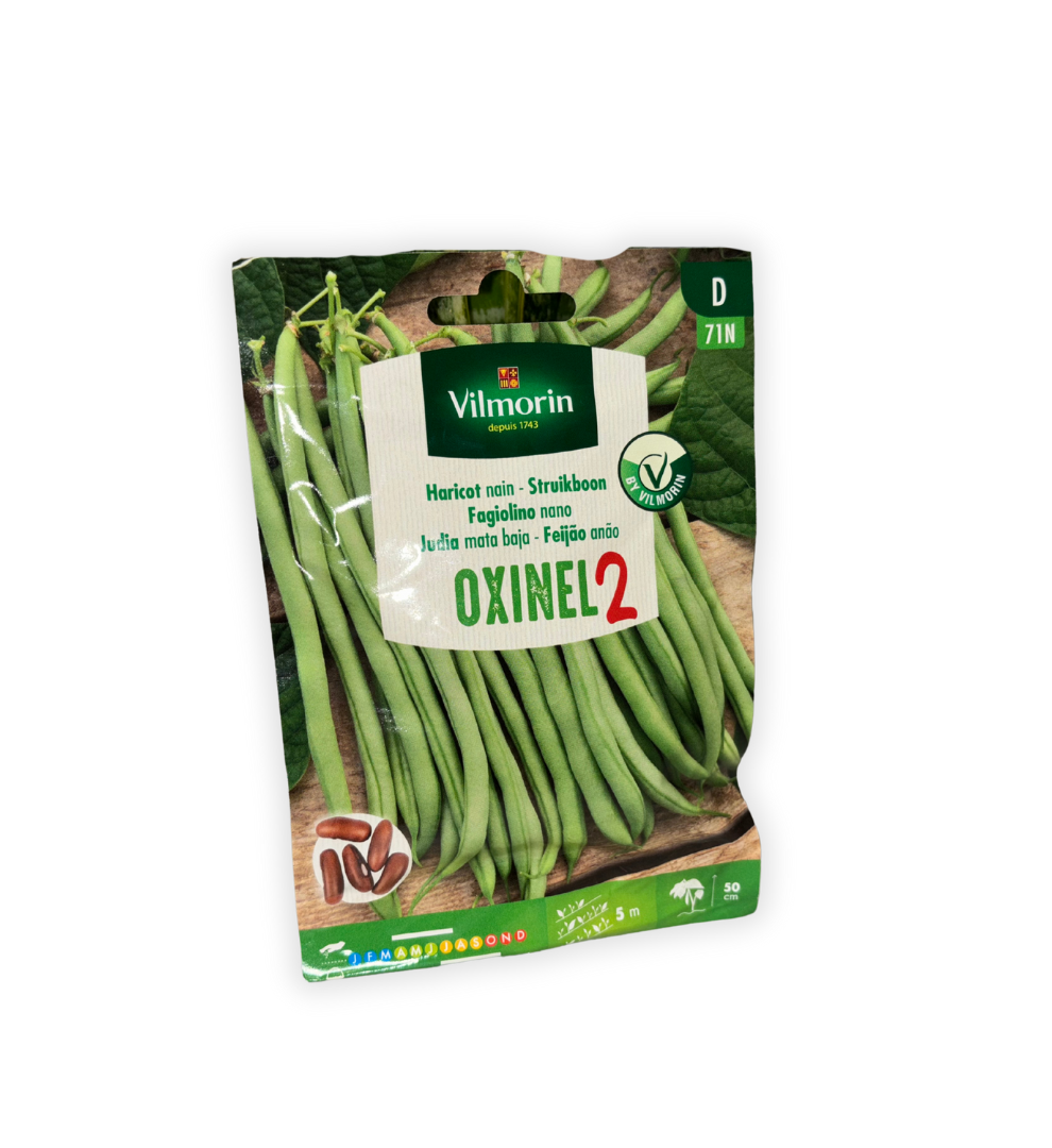 judia-oxinel-2-bolsa-vilmorin