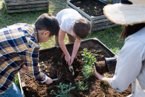 crear-un-huerto-ecologico-ventajas
