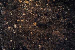 sustrato-ideal-para-crear-un-huerto-ecologico