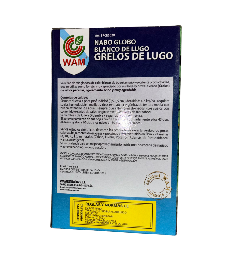 semillas-grelos-de-lugo-2502-wam