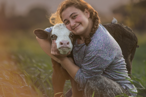 cuidados-recria-terneros-agrogargallo