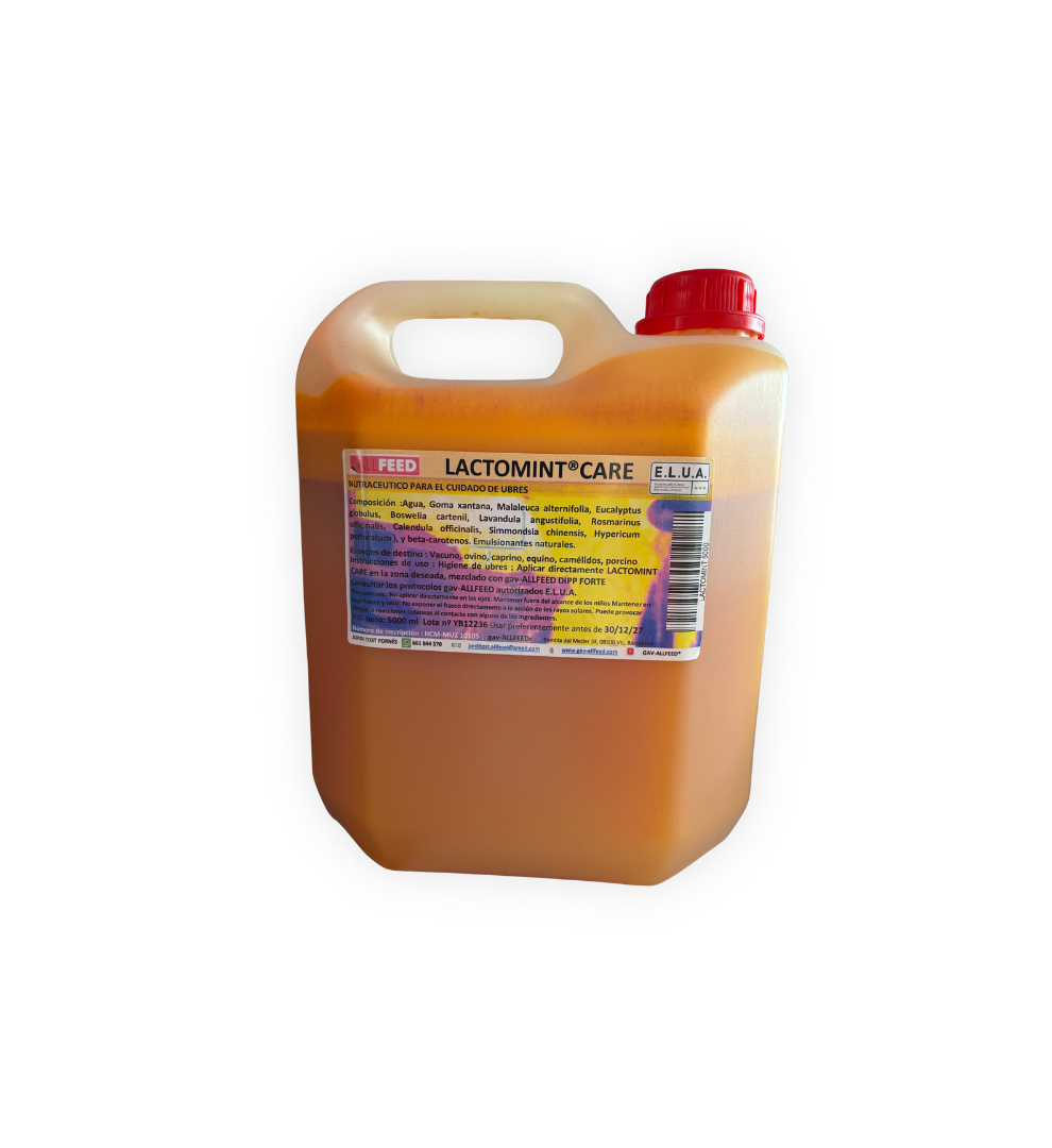 gav-allfeed-lactomint-care-5l
