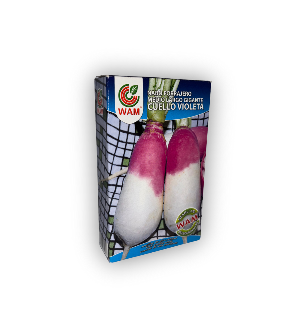 semillas-de-nabos-cuello-violeta-wam