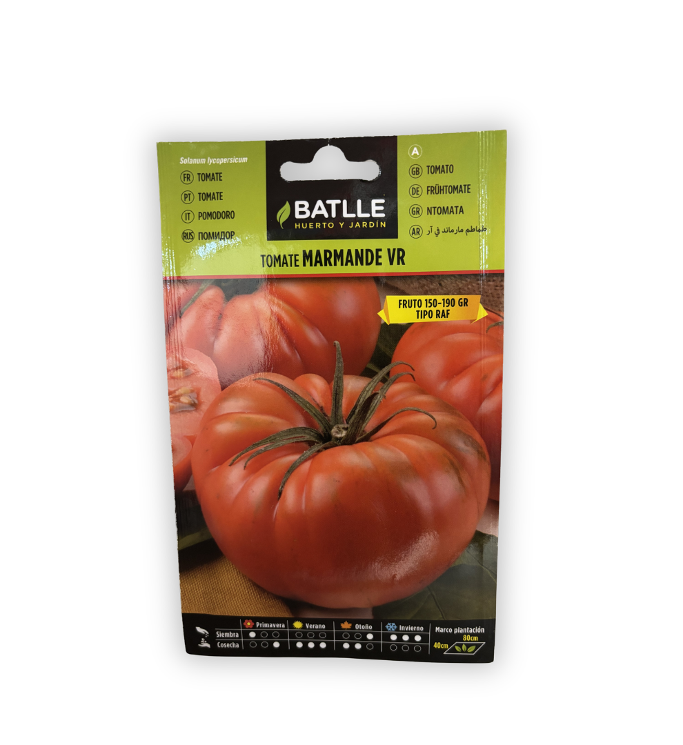 semillas-de-tomate-marmande