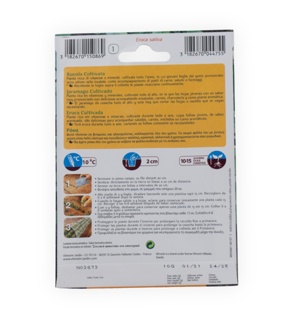 semillas-de-rucula-vilmorin-rucula-cultivada