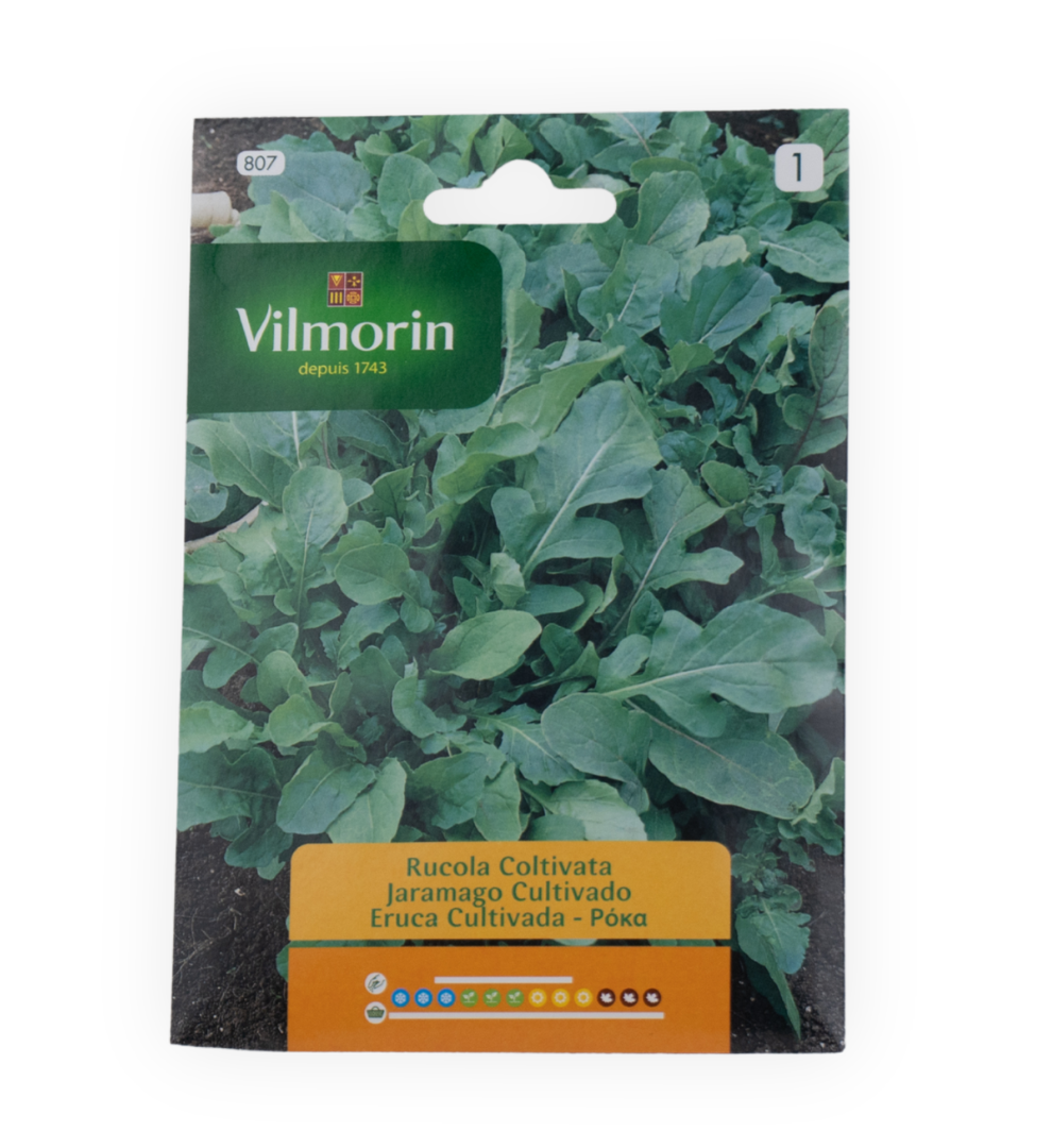 semillas-de-rucula-vilmorin