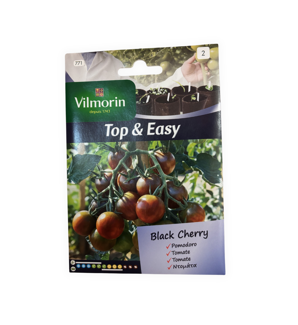 semillas-de-tomate-cherry-negro