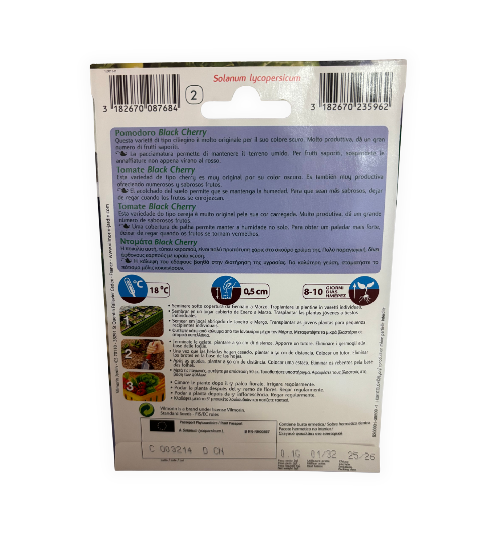 semillas-de-tomate-cherry-negro-vilmorin-01