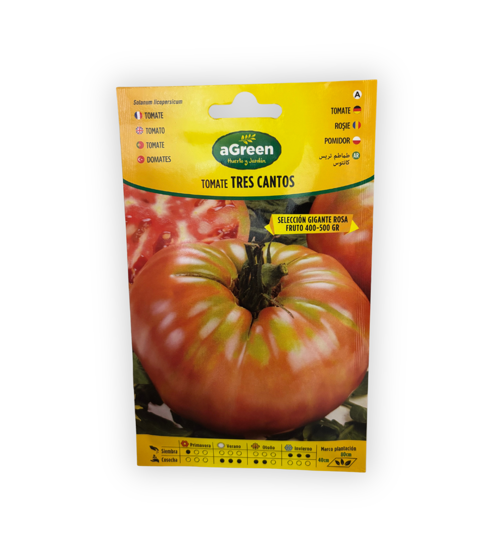 semillas-de-tomate-gigante-rosa