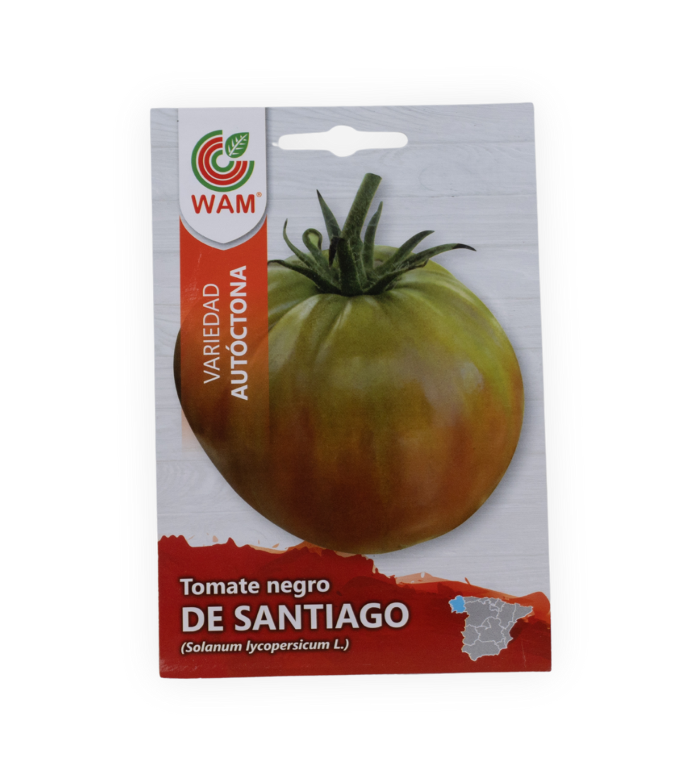 semillas-de-tomate-negro-de-santiago