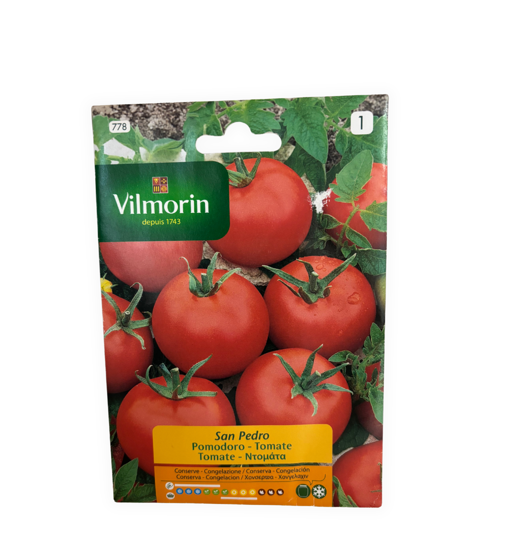 semillas-de-tomate-san-pedro